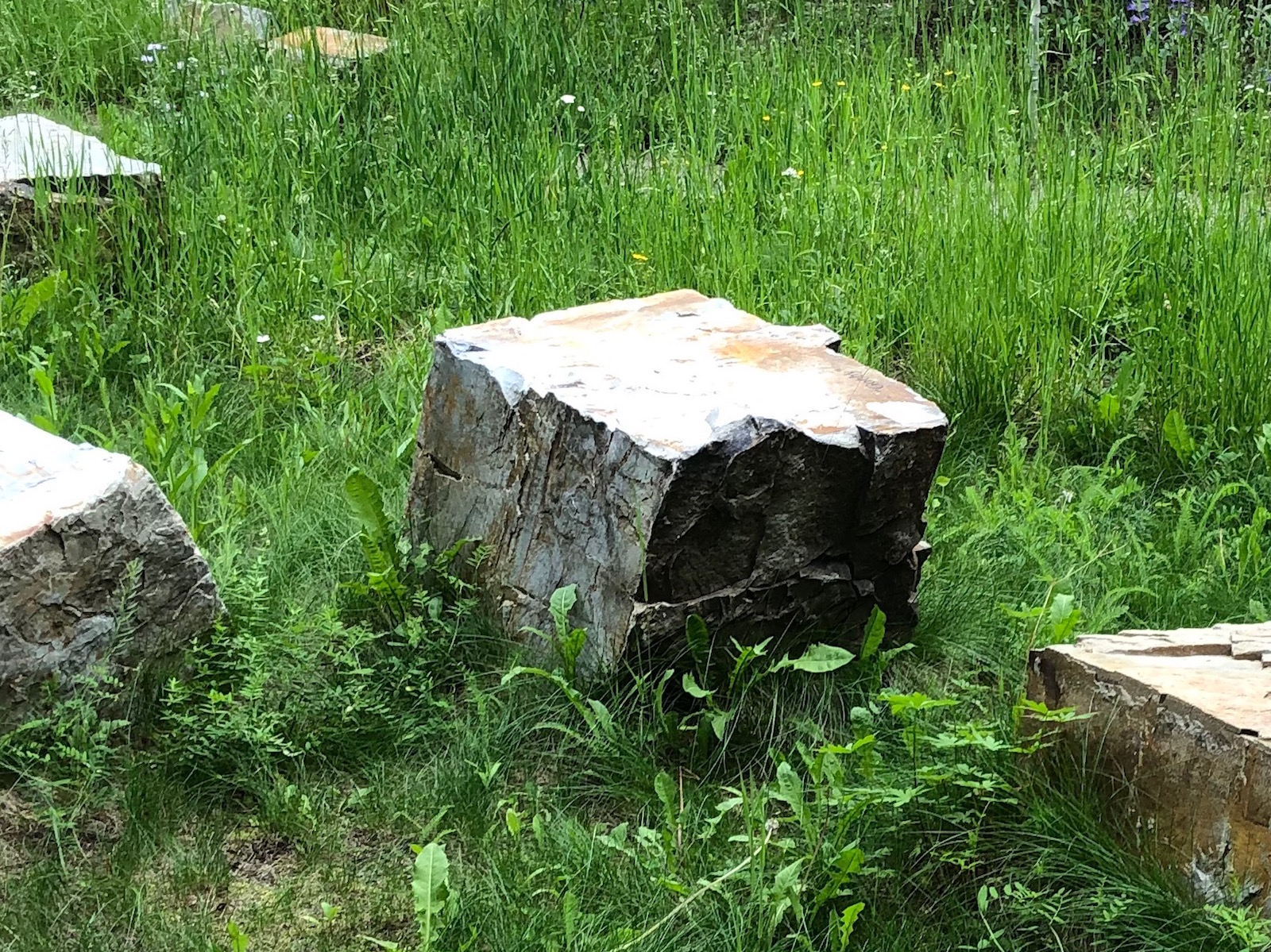 Lowery, Marianne – Vail Memorial Park